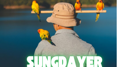 sungdayer